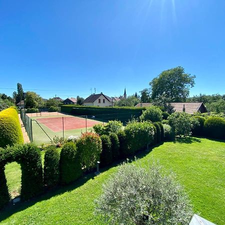 "Ma Vie La" Alsace Bed and Breakfast Kingersheim Εξωτερικό φωτογραφία